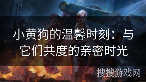 小黄狗的温馨时刻：与它们共度的亲密时光