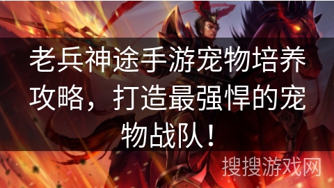 老兵神途手游宠物培养攻略，打造最强悍的宠物战队！