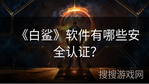 《白鲨》软件有哪些安全认证？