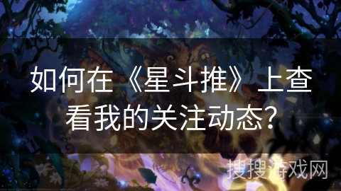 如何在《星斗推》上查看我的关注动态？