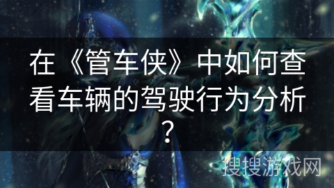 在《管车侠》中如何查看车辆的驾驶行为分析？