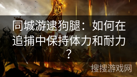 同城游逮狗腿：如何在追捕中保持体力和耐力？