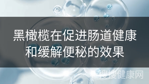 黑橄榄在促进肠道健康和缓解便秘的效果