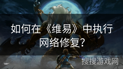 如何在《维易》中执行网络修复？