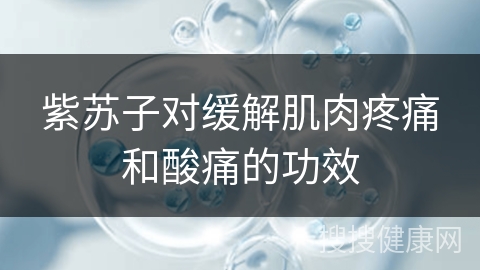 紫苏子对缓解肌肉疼痛和酸痛的功效