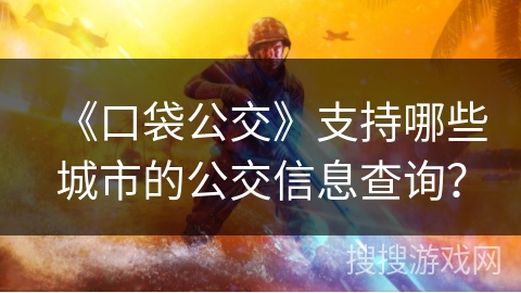 《口袋公交》支持哪些城市的公交信息查询？