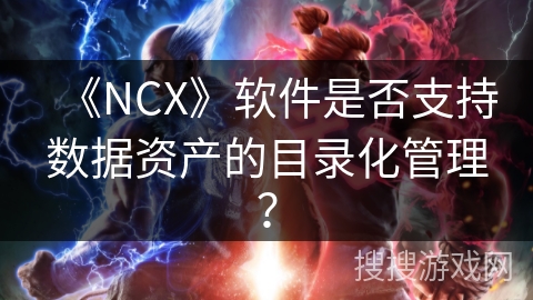 《NCX》软件是否支持数据资产的目录化管理？