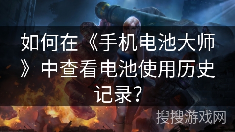 如何在《手机电池大师》中查看电池使用历史记录？