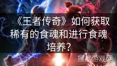 《王者传奇》如何获取稀有的食魂和进行食魂培养？