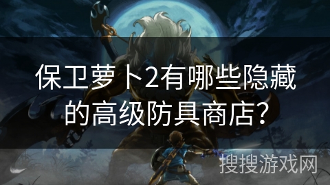 保卫萝卜2有哪些隐藏的高级防具商店？