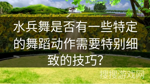 水兵舞是否有一些特定的舞蹈动作需要特别细致的技巧？