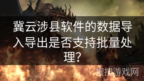 冀云涉县软件的数据导入导出是否支持批量处理？