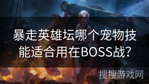 暴走英雄坛哪个宠物技能适合用在BOSS战？