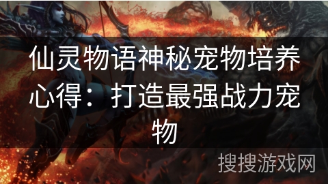 仙灵物语神秘宠物培养心得：打造最强战力宠物