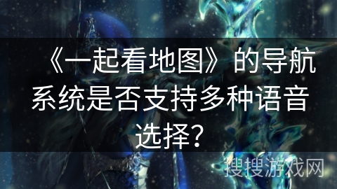《一起看地图》的导航系统是否支持多种语音选择？