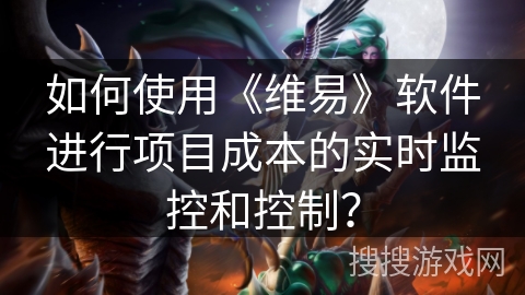 如何使用《维易》软件进行项目成本的实时监控和控制？