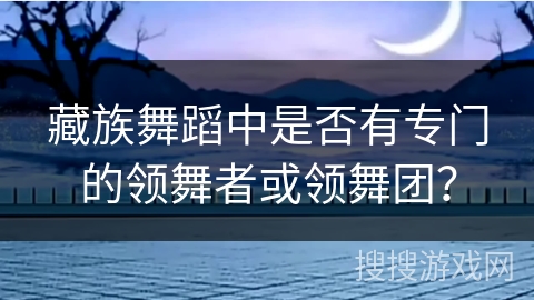 藏族舞蹈中是否有专门的领舞者或领舞团？
