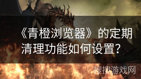 《青橙浏览器》的定期清理功能如何设置? 《青橙浏览器》的定期清理功能如何设置?