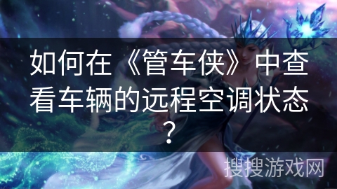 如何在《管车侠》中查看车辆的远程空调状态？