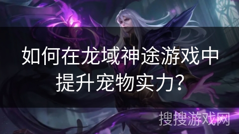 如何在龙域神途游戏中提升宠物实力？