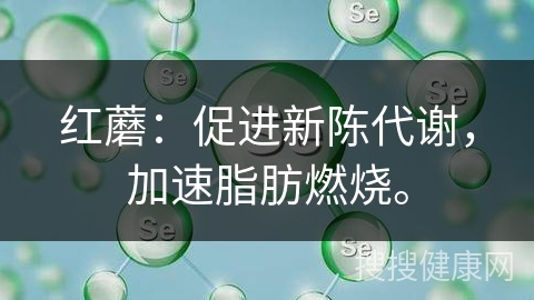 红蘑：促进新陈代谢，加速脂肪燃烧。