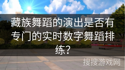 藏族舞蹈的演出是否有专门的实时数字舞蹈排练？