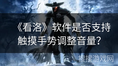 《看洛》软件是否支持触摸手势调整音量？