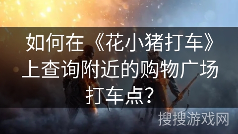 如何在《花小猪打车》上查询附近的购物广场打车点？
