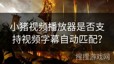 小猪视频播放器是否支持视频字幕自动匹配？