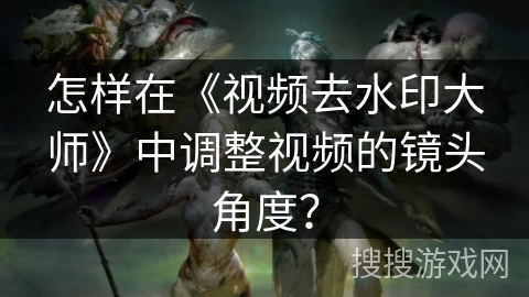 怎样在《视频去水印大师》中调整视频的镜头角度？