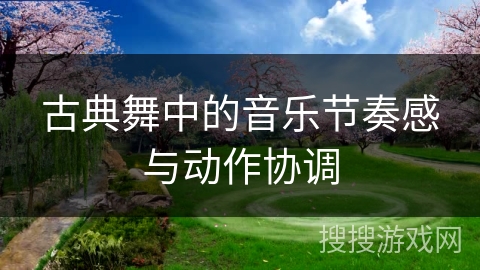 古典舞中的音乐节奏感与动作协调