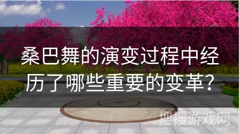 桑巴舞的演变过程中经历了哪些重要的变革？