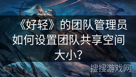 《好轻》的团队管理员如何设置团队共享空间大小？