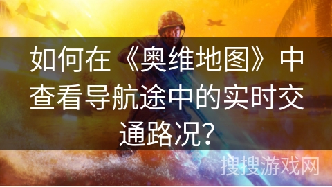 如何在《奥维地图》中查看导航途中的实时交通路况？