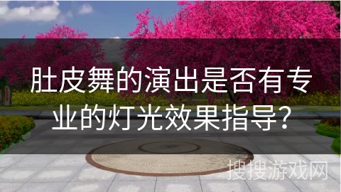 肚皮舞的演出是否有专业的灯光效果指导？