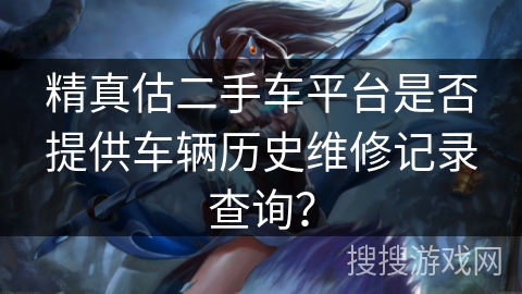 精真估二手车平台是否提供车辆历史维修记录查询？
