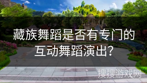 藏族舞蹈是否有专门的互动舞蹈演出？