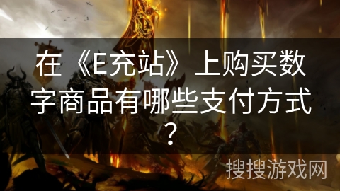 在《E充站》上购买数字商品有哪些支付方式？