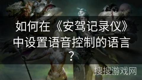 如何在《安驾记录仪》中设置语音控制的语言？