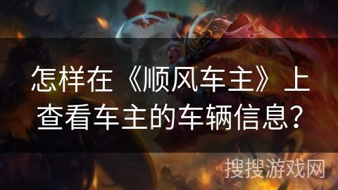 怎样在《顺风车主》上查看车主的车辆信息？
