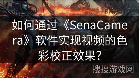 如何通过《SenaCamera》软件实现视频的色彩校正效果？