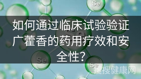 如何通过临床试验验证广藿香的药用疗效和安全性？