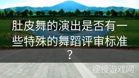 肚皮舞的演出是否有一些特殊的舞蹈评审标准？