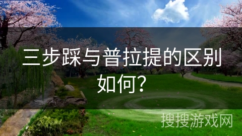 三步踩与普拉提的区别如何? 三步踩与普拉提的区别如何?