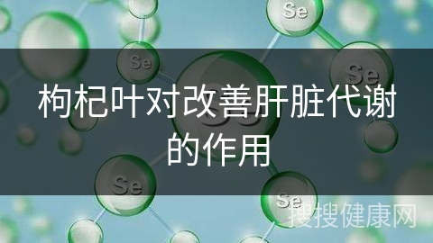 枸杞叶对改善肝脏代谢的作用