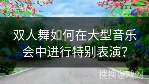 双人舞如何在大型音乐会中进行特别表演？
