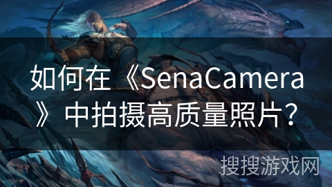 如何在《SenaCamera》中拍摄高质量照片？