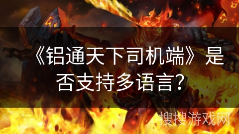 《铝通天下司机端》是否支持多语言？