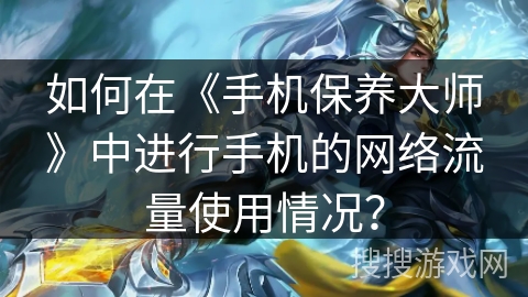 如何在《手机保养大师》中进行手机的网络流量使用情况？