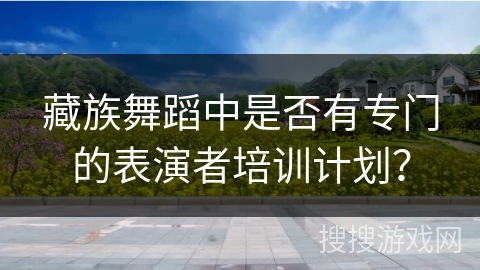藏族舞蹈中是否有专门的表演者培训计划？